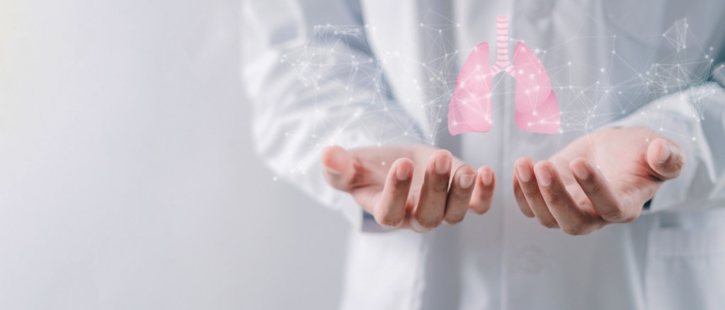 dottore che tiene tra le mani un modellino digitale rappresentante polmoni