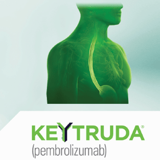 banner keytruda