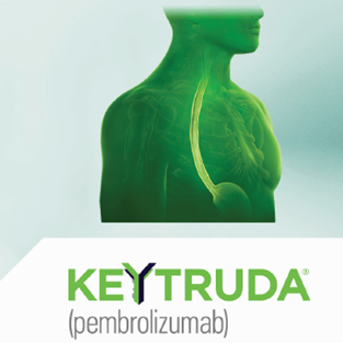 banner keytruda