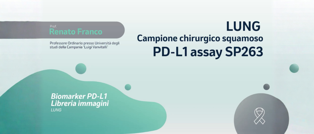 primo piano del professor Renato Franco