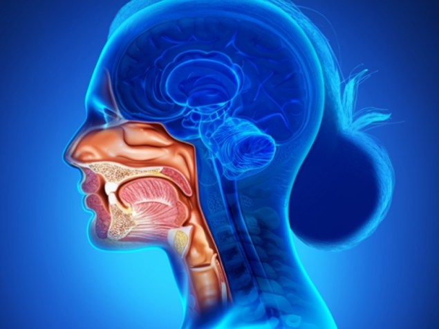 Render 3d tumore testa collo