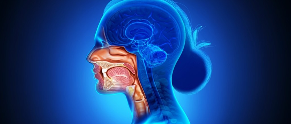 Render 3d tumore testa collo