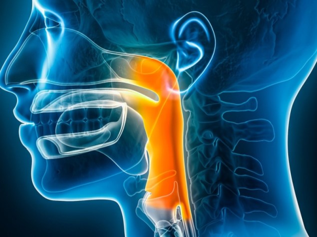 Render 3d tumore testa collo