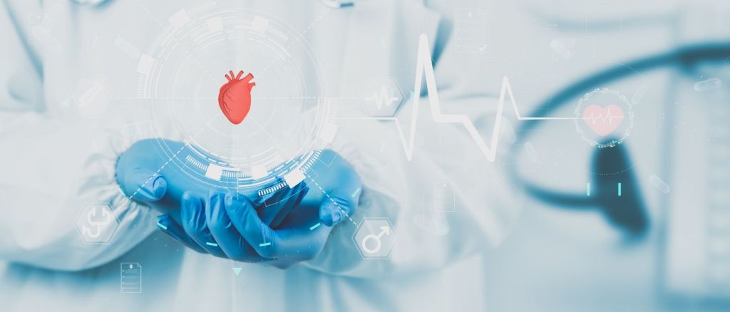 Cardiovascular Image