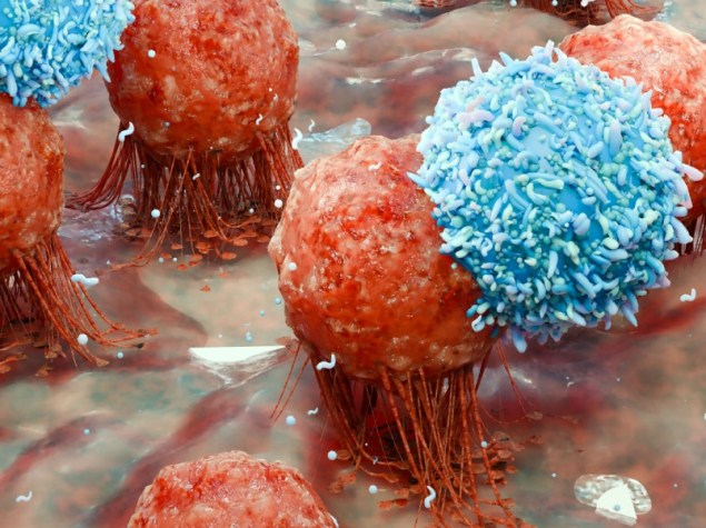 risposta immunitaria dell’organismo infezione virale
