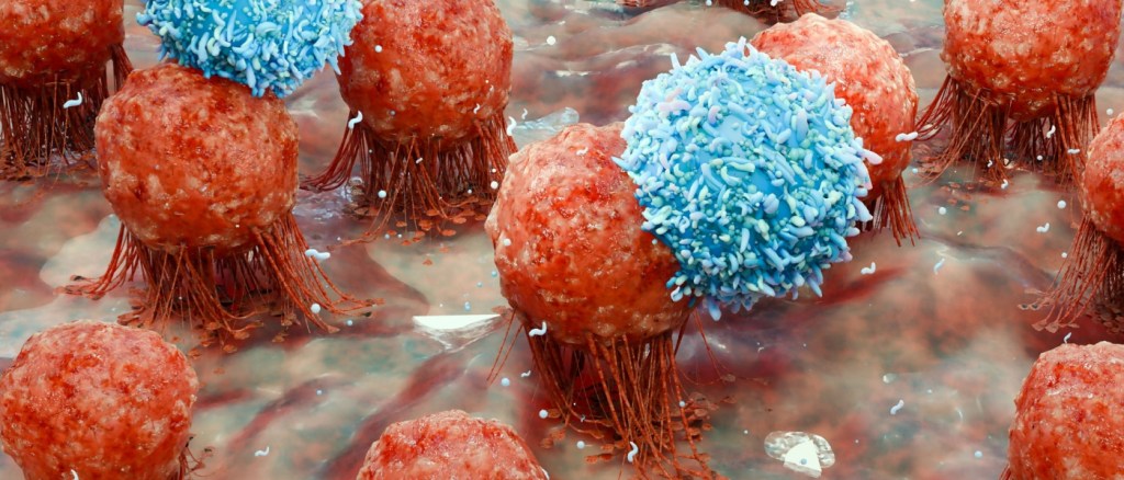 risposta immunitaria dell’organismo infezione virale