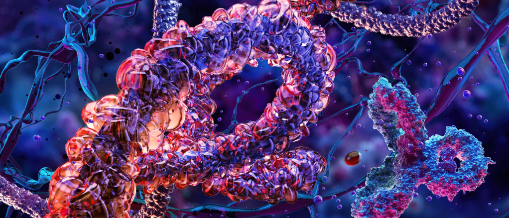 struttura 3d delle proteine