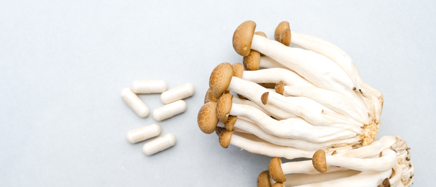 funghi e pasticche