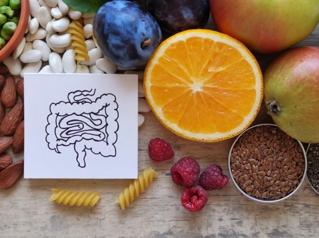 Cibo e immagine di un intestino