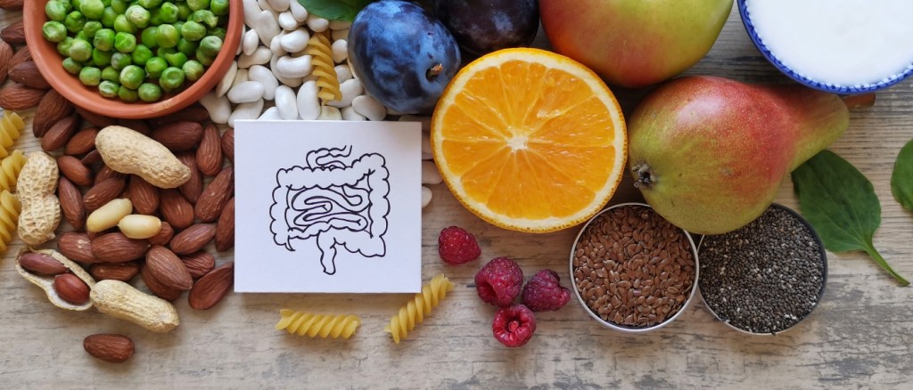 Cibo e immagine di un intestino