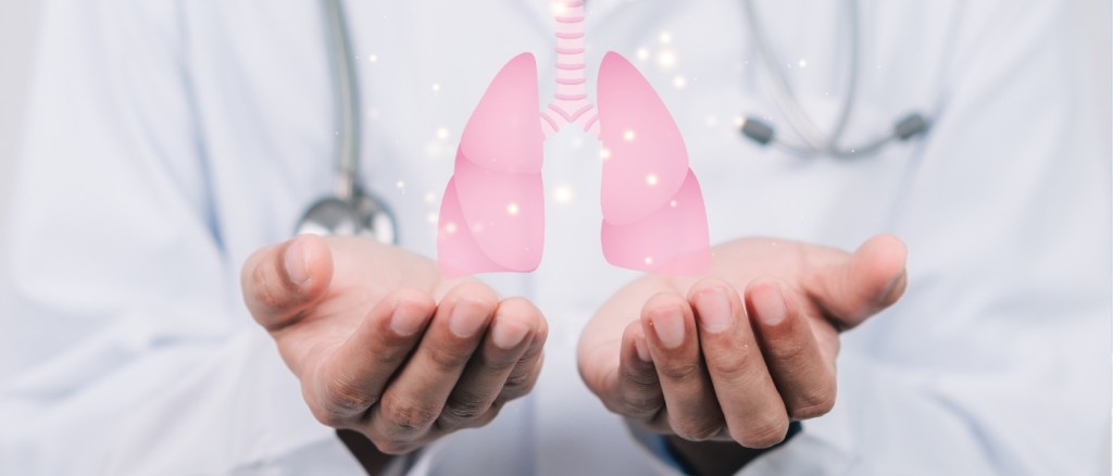 Un medico in camice tiene in mano un simbolo a forma di polmone mentre è seduto a un tavolo in ospedale