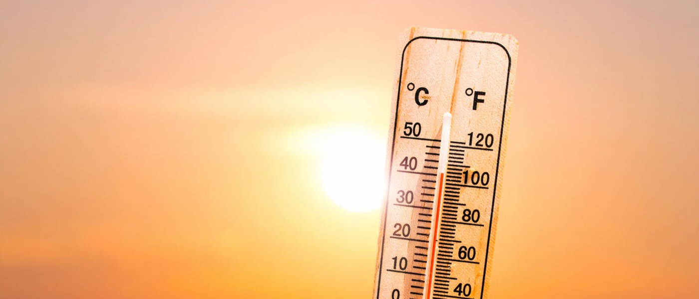 Termometro Che Misura L'Alta Temperatura