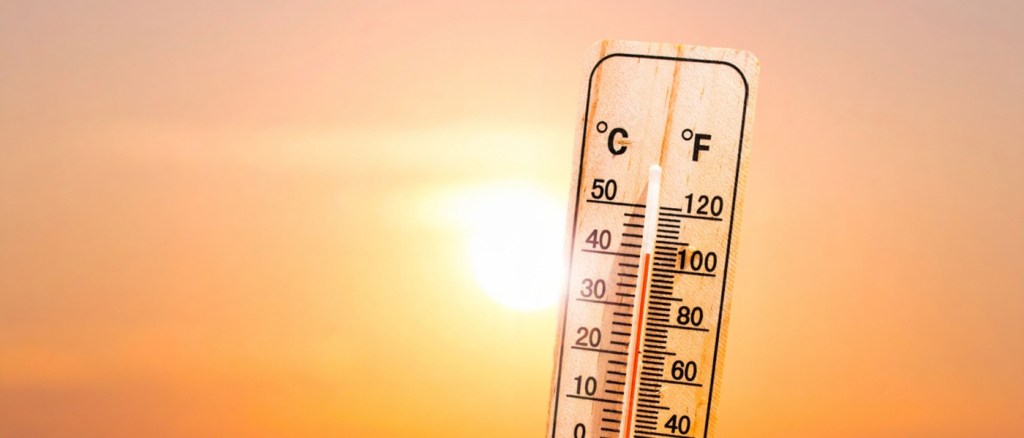 Termometro Che Misura L'Alta Temperatura