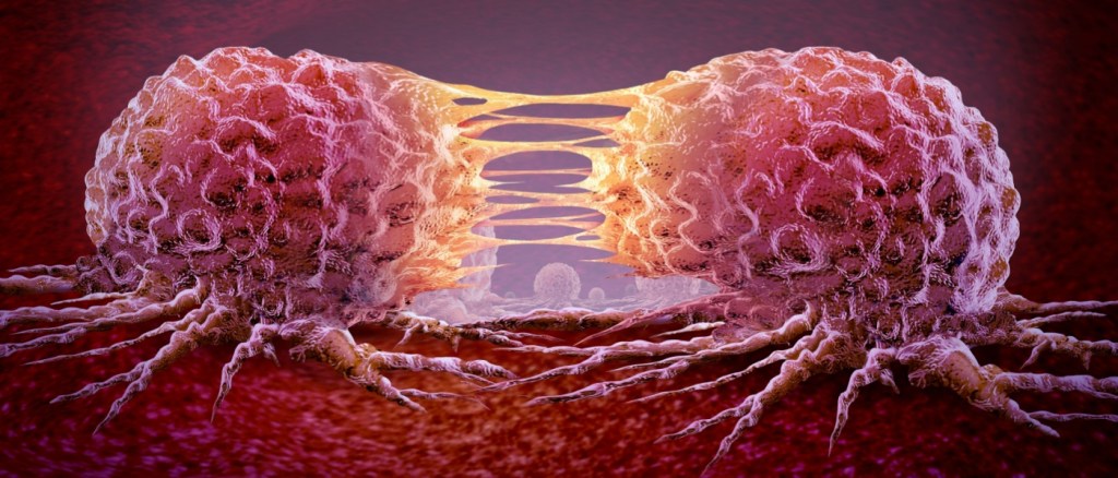 Metastasi, Cellula cancerosa