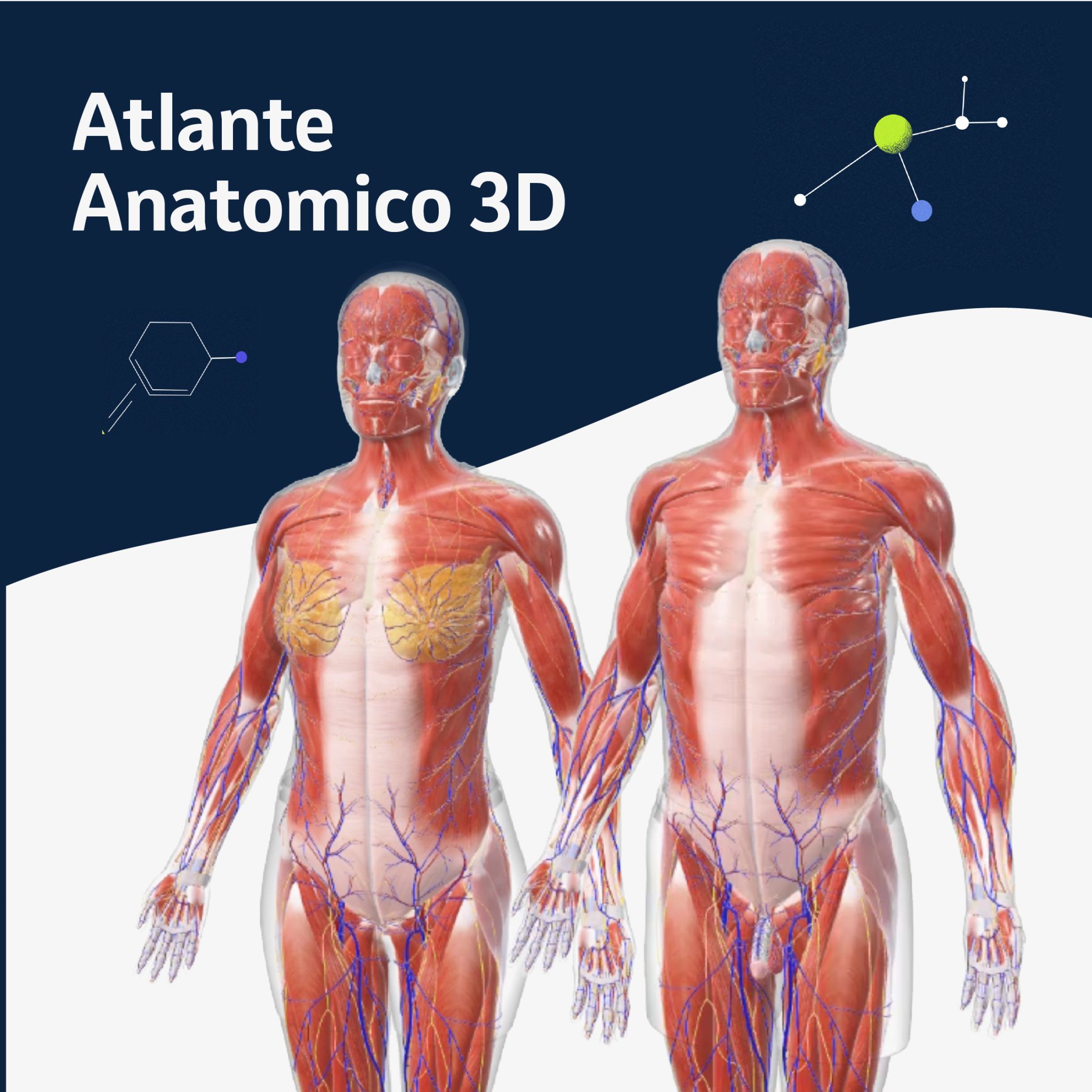 Medico che tocca con il dito icona luminosa 