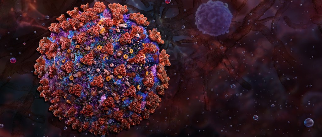 Particella del virus di Shamonda, virus di bestiame emergente, orthobunyavirus